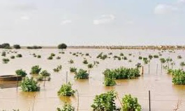 الأرصاد الجوية تتوقع بداية مبكرة لموسم الأمطار وارتفاعا في درجات الحرارة الأيام القادمة