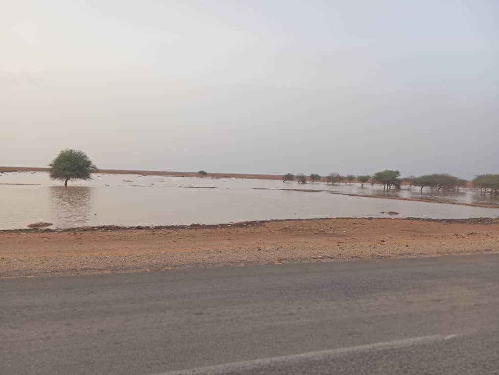 تساقطات مطرية على مناطق واسعة في سبع ولايات من الوطن
