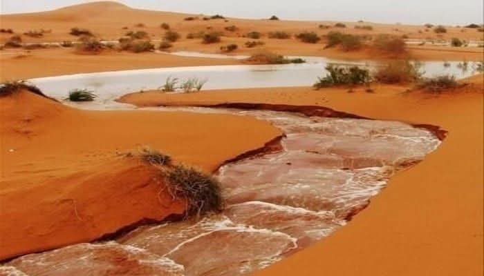 تساقطات مطرية على مناطق متفرقة في أربع ولايات من الوطن
