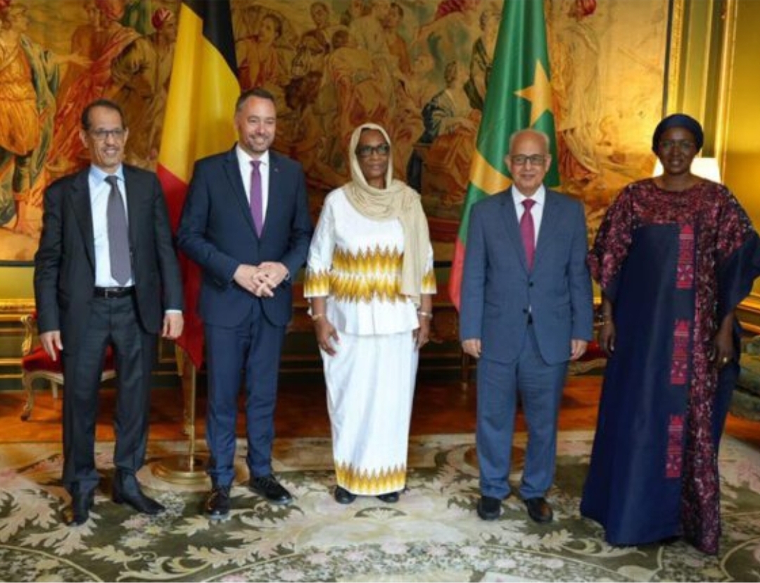 الوزير الأمين العام لرئاسة الجمهورية يلتقي نائب رئيس الوزراء وزير الخارجية البلجيكي